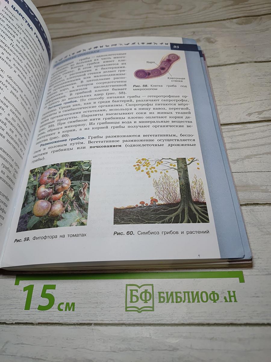 Биология 5-6 классы