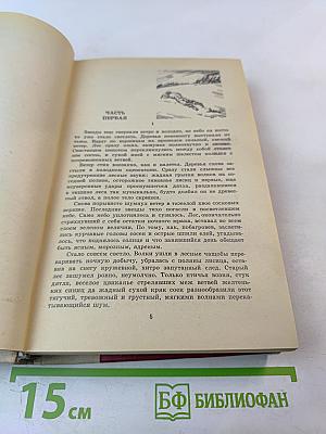 Повесть о настоящем человеке. Доктор Вера.