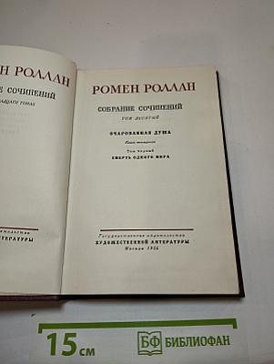 Очарованная душа
