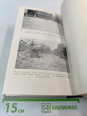 Свет и цвет в природе