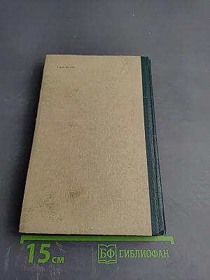 Очерк теории темперамента