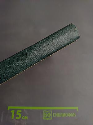 Очерк теории темперамента