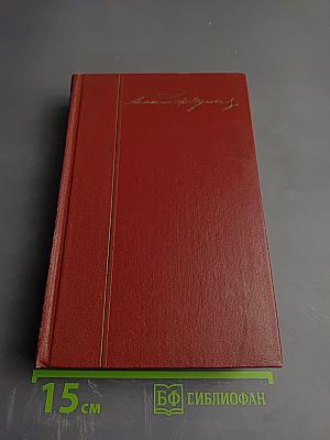 Собрание сочинений. Том 5. Романы, повести