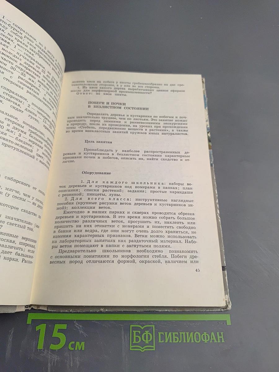 Школьникам о лесе