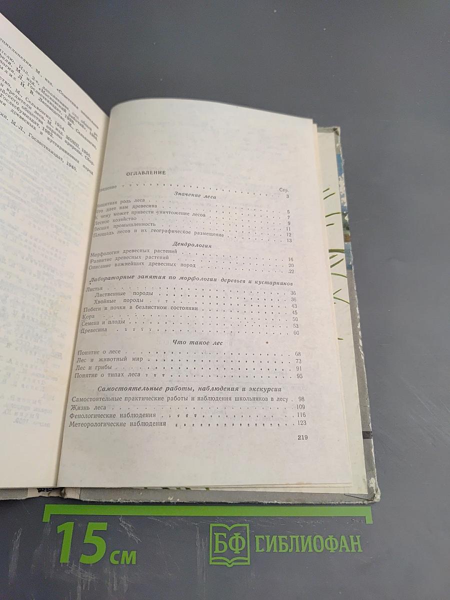 Школьникам о лесе