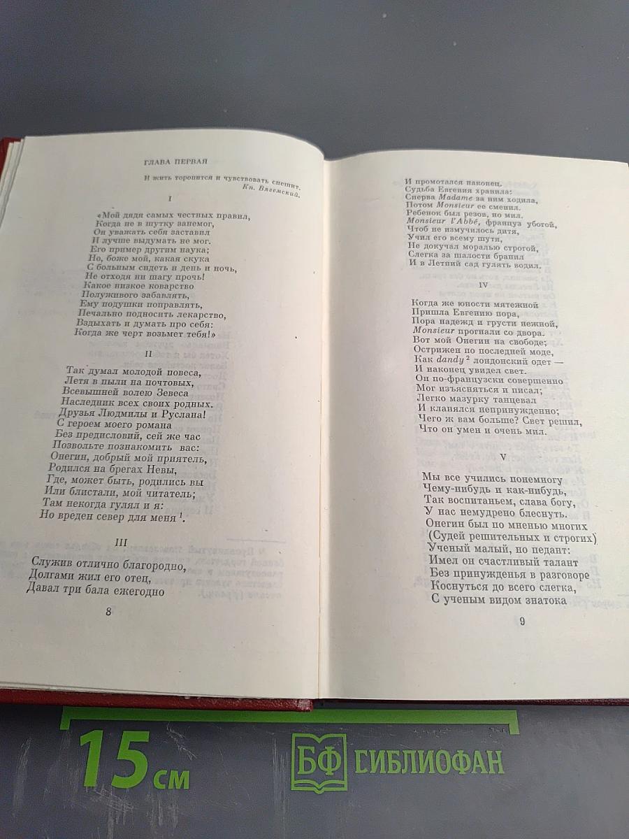 Собрание сочинений. Том четвертый. Евгений Онегин. Драматические произведения