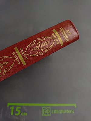 Собрание сочинений. Том четвертый. Евгений Онегин. Драматические произведения