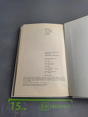 Зимний перевал