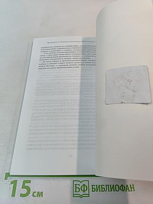 Введение в практику дзен: дзадзен и шикантаза