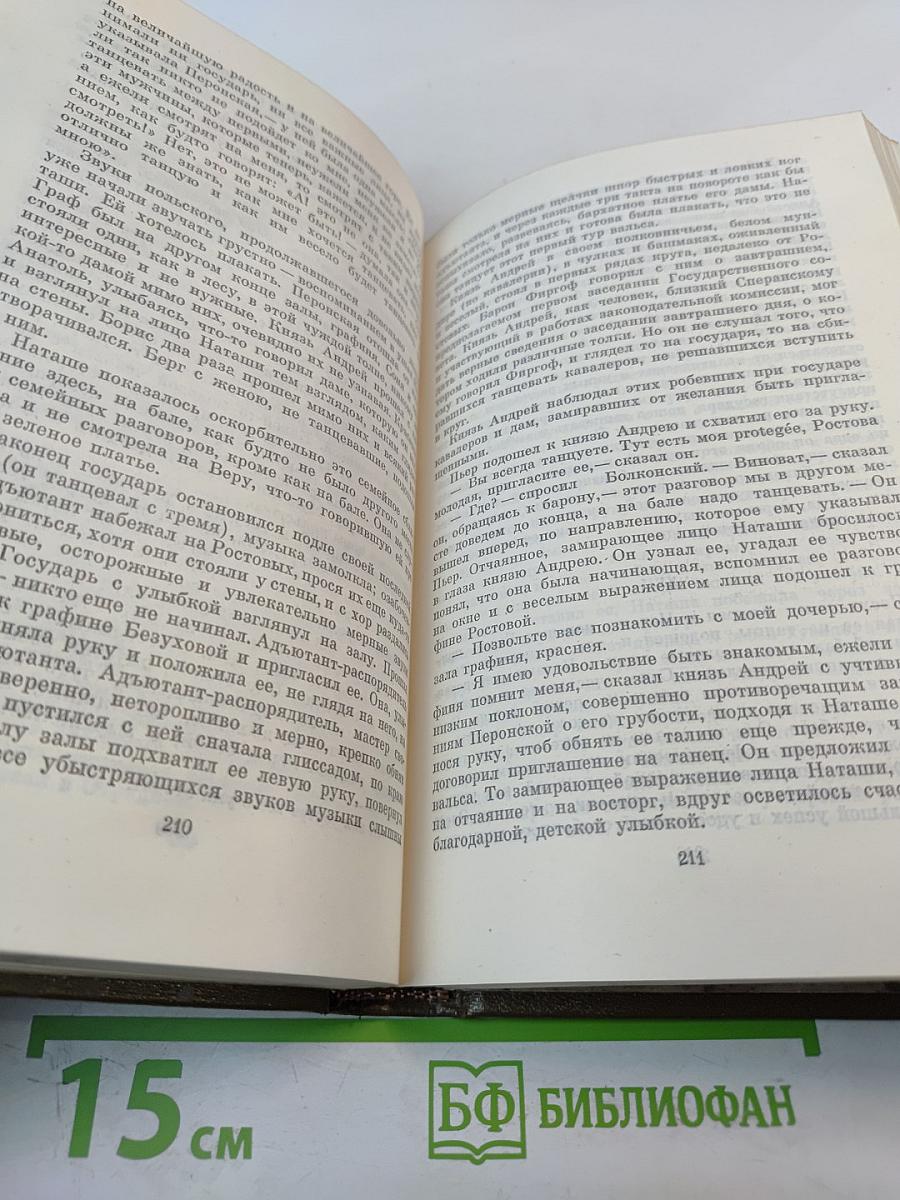 Война и мир. Том пятый