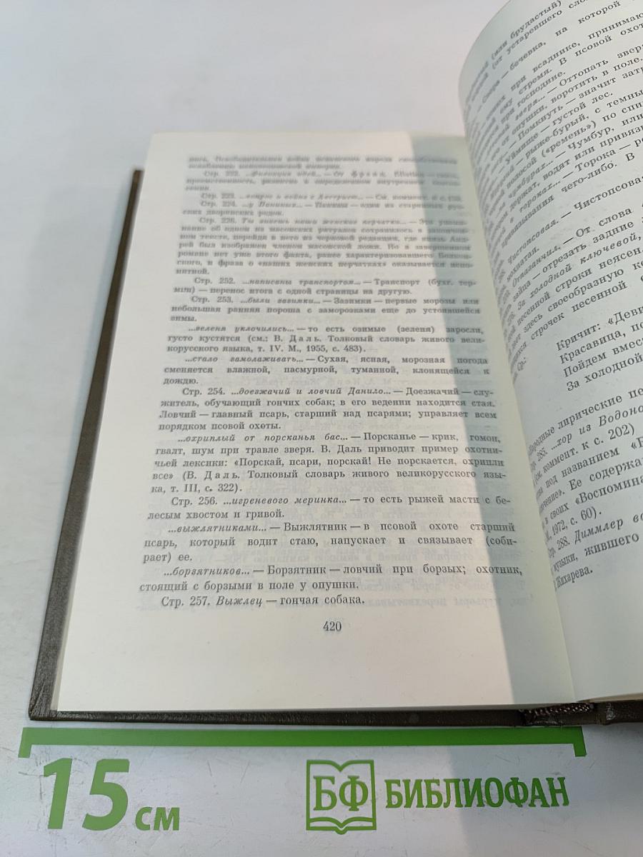 Война и мир. Том пятый