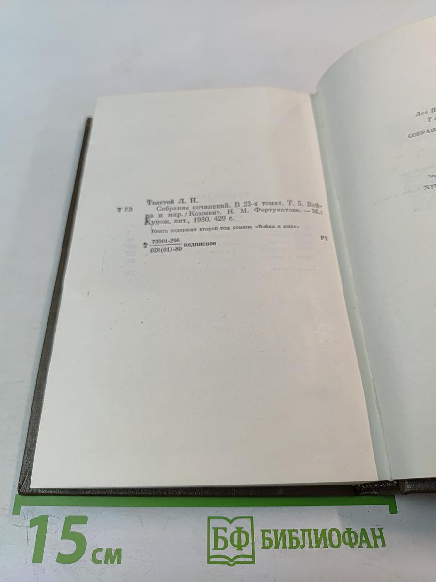 Война и мир. Том пятый