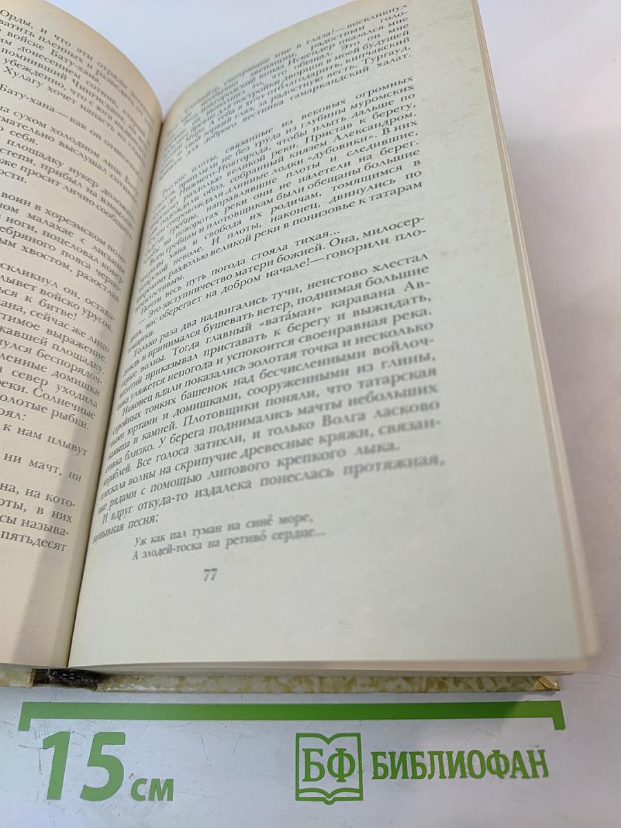 К последнему морю. Юность полководца