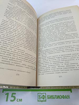 К последнему морю. Юность полководца