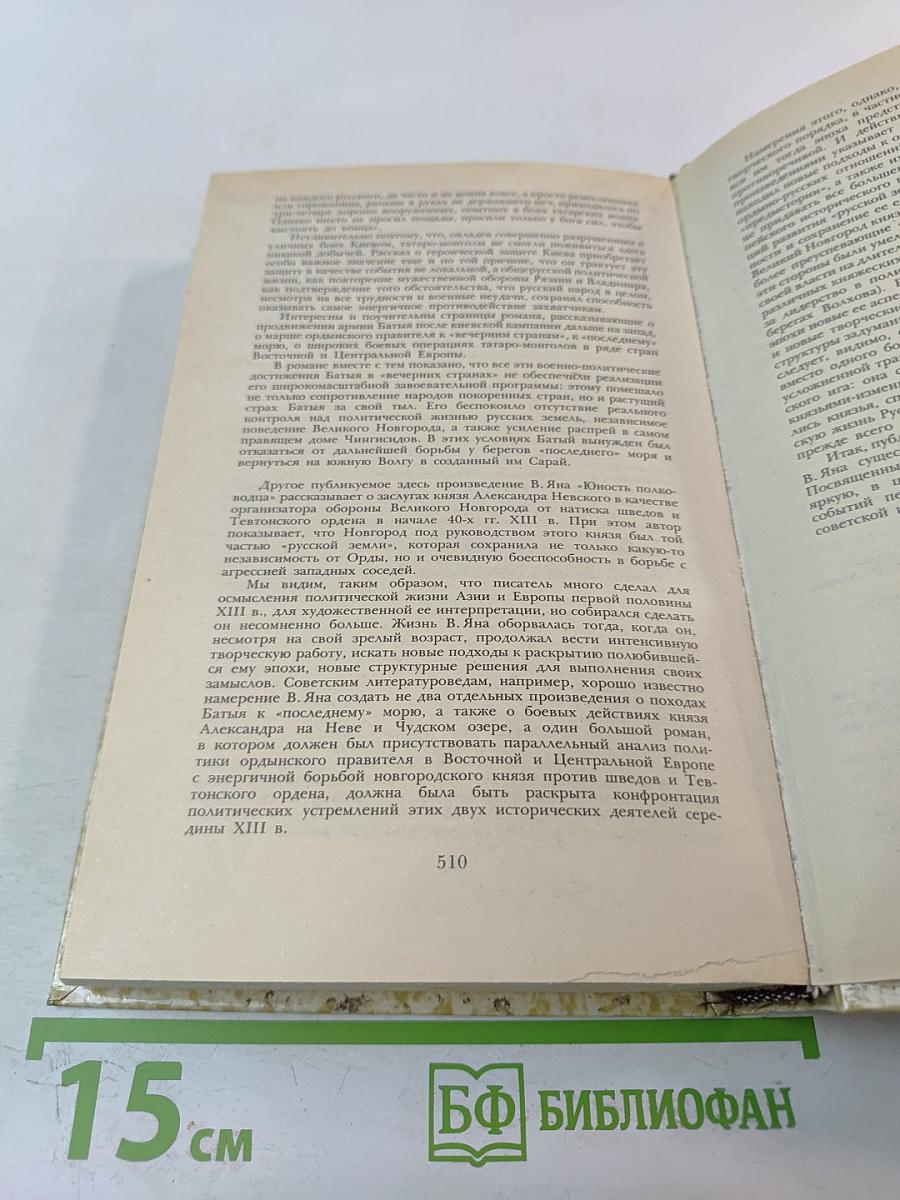 К последнему морю. Юность полководца