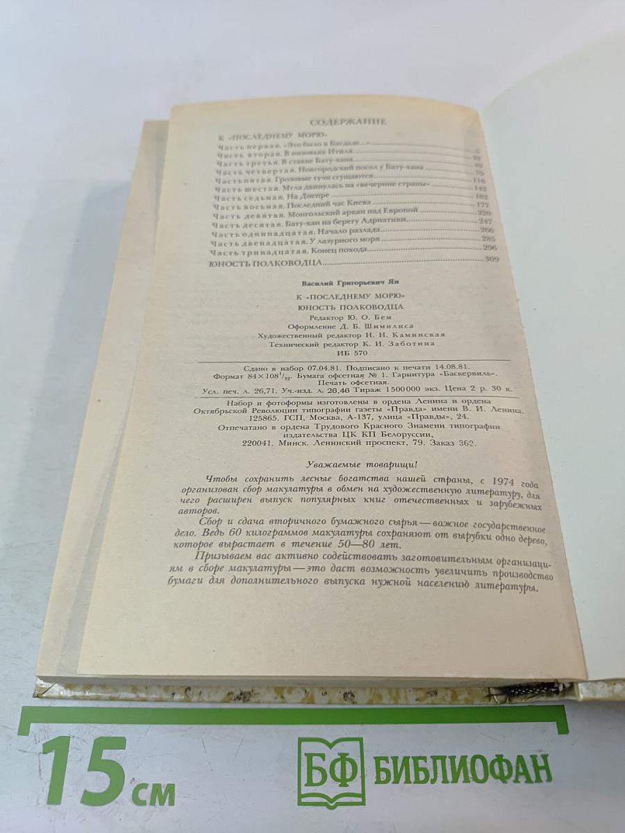 К последнему морю. Юность полководца