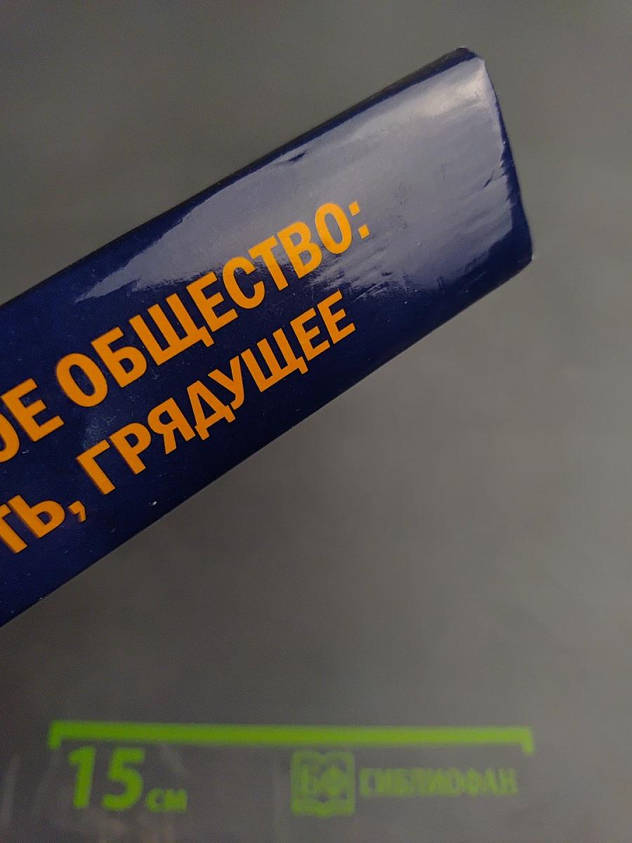 Новое индустриальное общество: истоки, реальность, грядущее