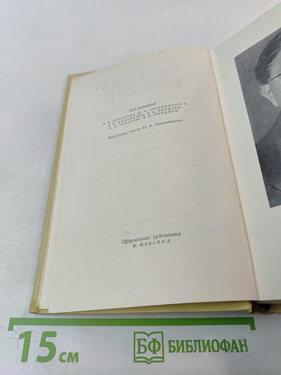 Хождение по мукам. Книги первая и вторая. Том 5