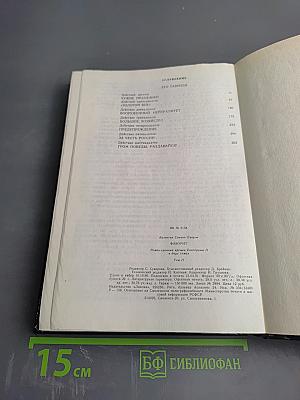 Фаворит. Том II