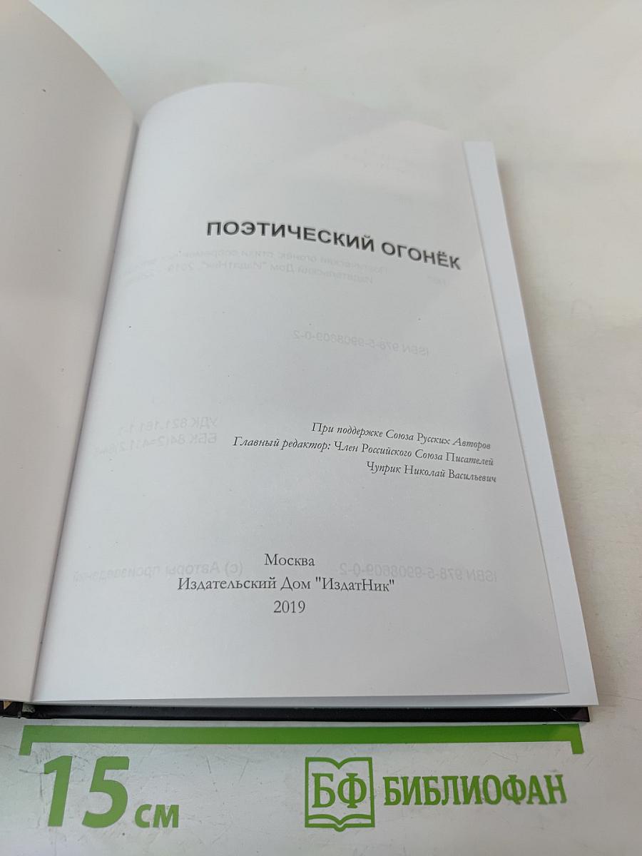 Поэтический огонёк: стихи современных авторов