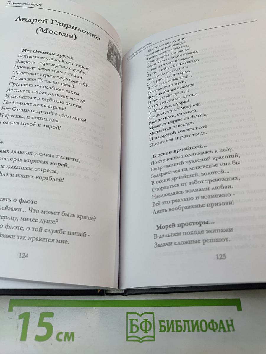 Поэтический огонёк: стихи современных авторов