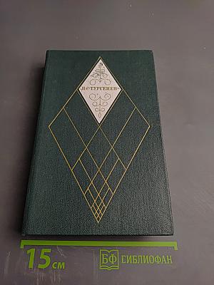 Собрание сочинений. Том восьмой: Повести и рассказы 1870-1883. Стихотворения в прозе