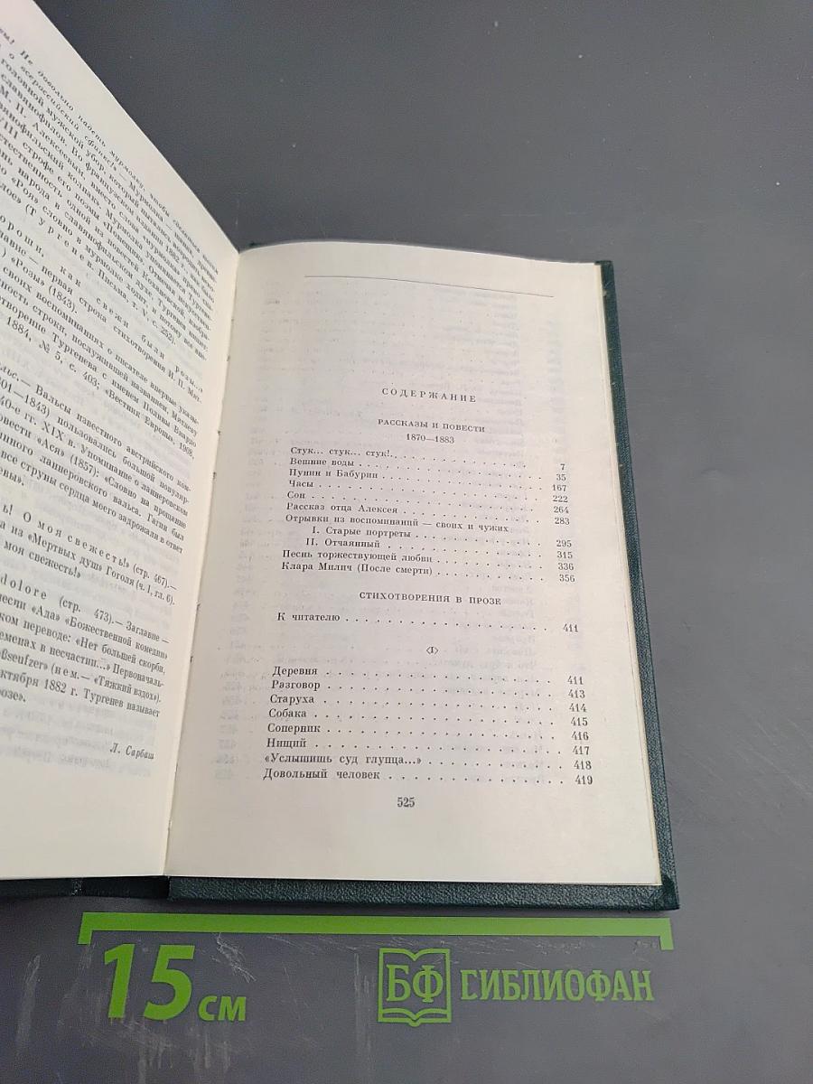 Собрание сочинений. Том восьмой: Повести и рассказы 1870-1883. Стихотворения в прозе