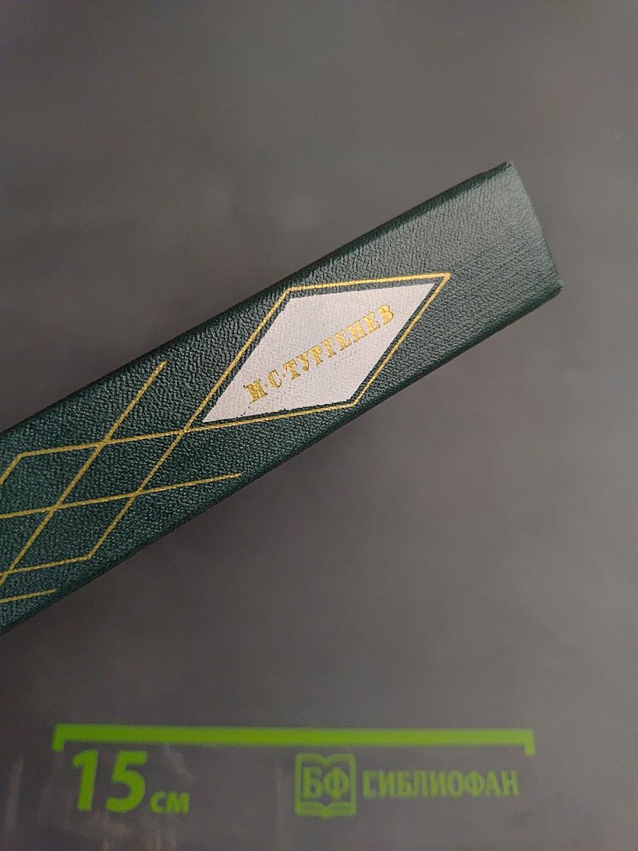 Собрание сочинений. Том восьмой: Повести и рассказы 1870-1883. Стихотворения в прозе