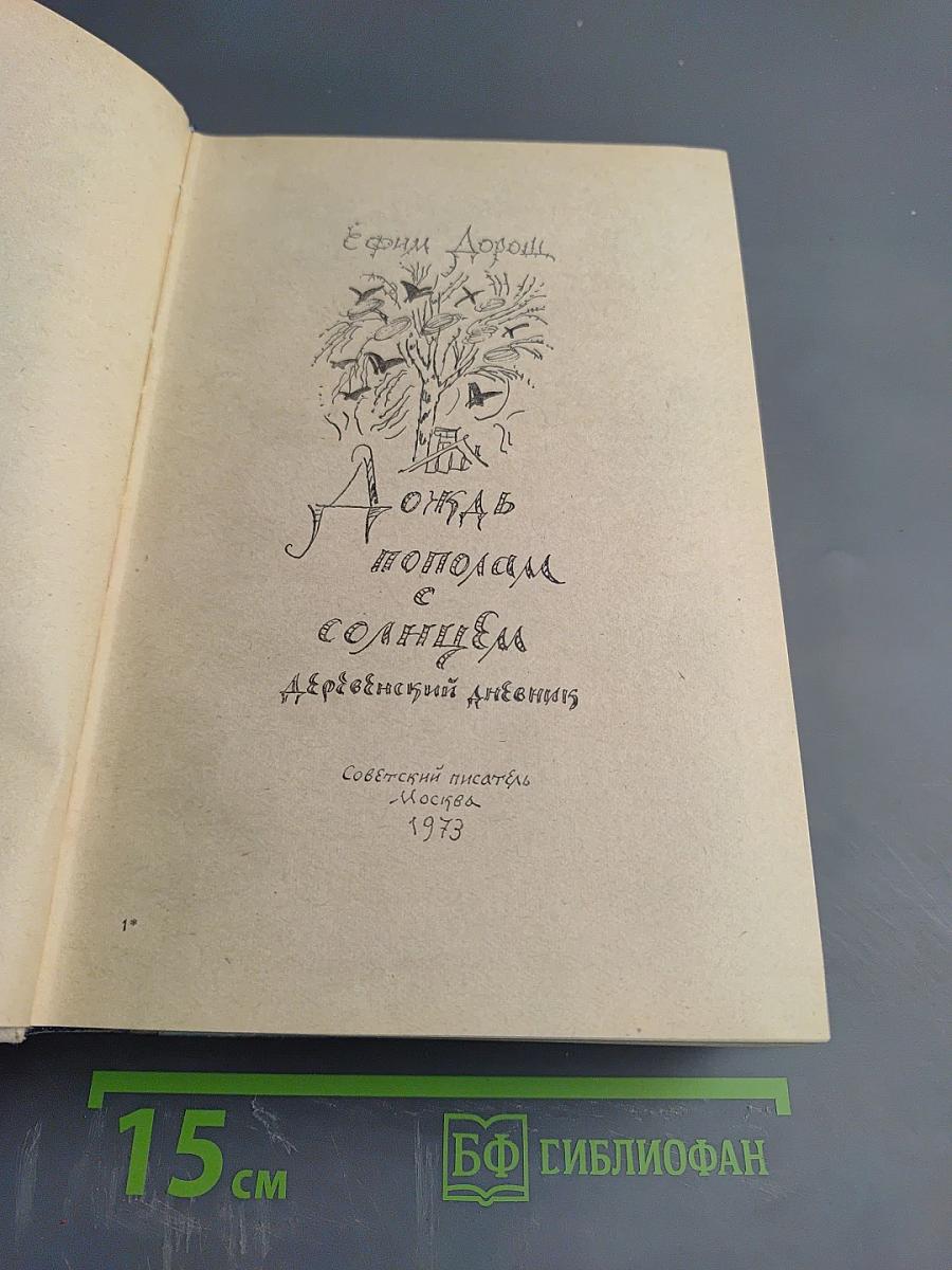 Дождь пополам с солнцем. Деревенский дневник