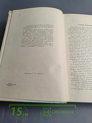 Дождь пополам с солнцем. Деревенский дневник