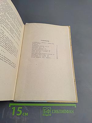 Дождь пополам с солнцем. Деревенский дневник