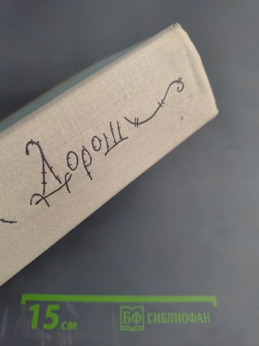 Дождь пополам с солнцем. Деревенский дневник