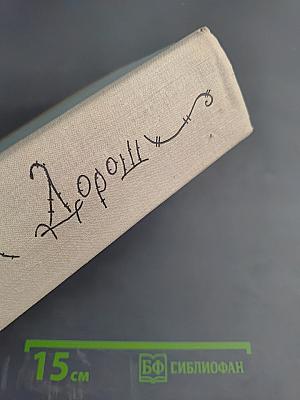 Дождь пополам с солнцем. Деревенский дневник