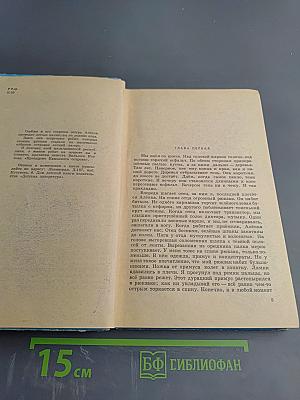 Президент Каменного Острова