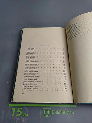 Президент Каменного Острова