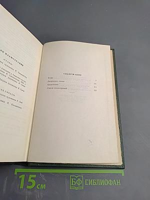 Собрание сочинений. Том второй: Рудин. Дворянское гнездо