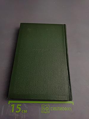 Собрание сочинений. Том второй: Рудин. Дворянское гнездо