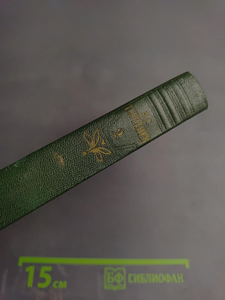 Собрание сочинений. Том второй: Рудин. Дворянское гнездо