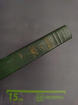 Собрание сочинений. Том второй: Рудин. Дворянское гнездо