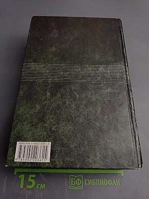 Полное собрание романов и повестей в двух томах. Том 2.