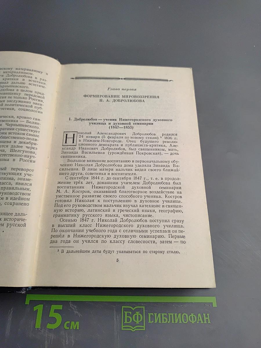 Мировоззрение Н.А. Добролюбова