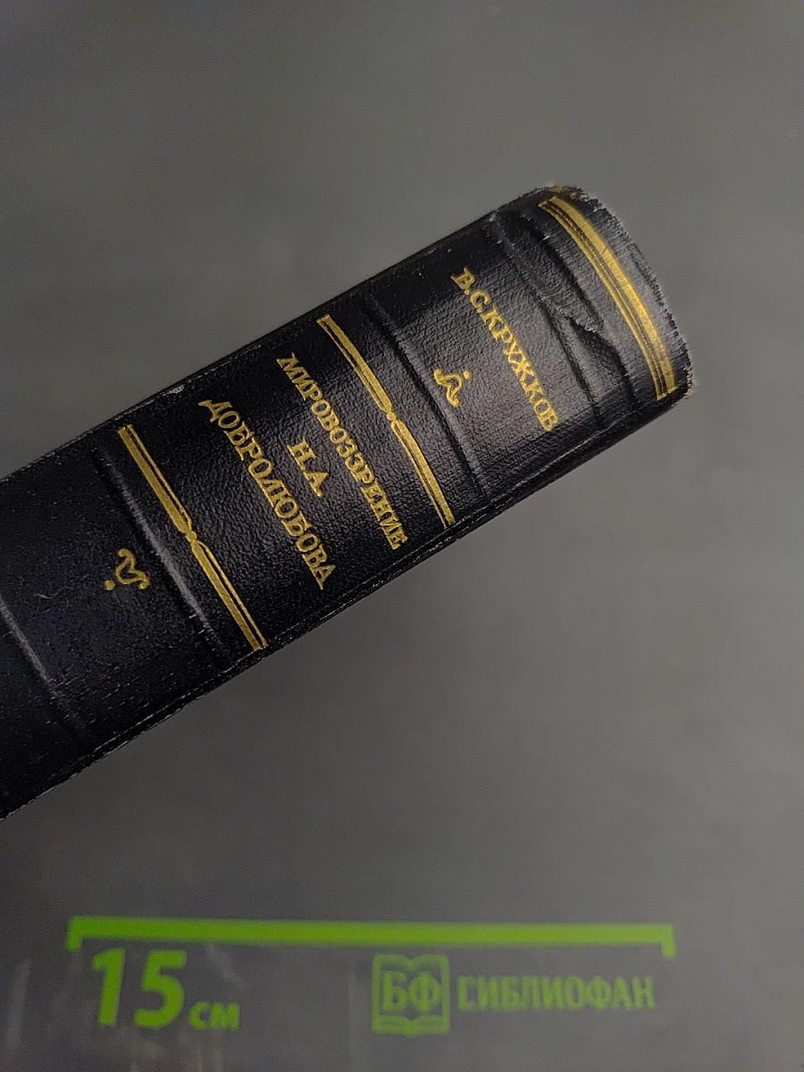 Мировоззрение Н.А. Добролюбова