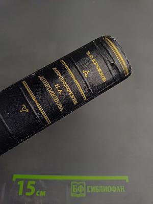 Мировоззрение Н.А. Добролюбова