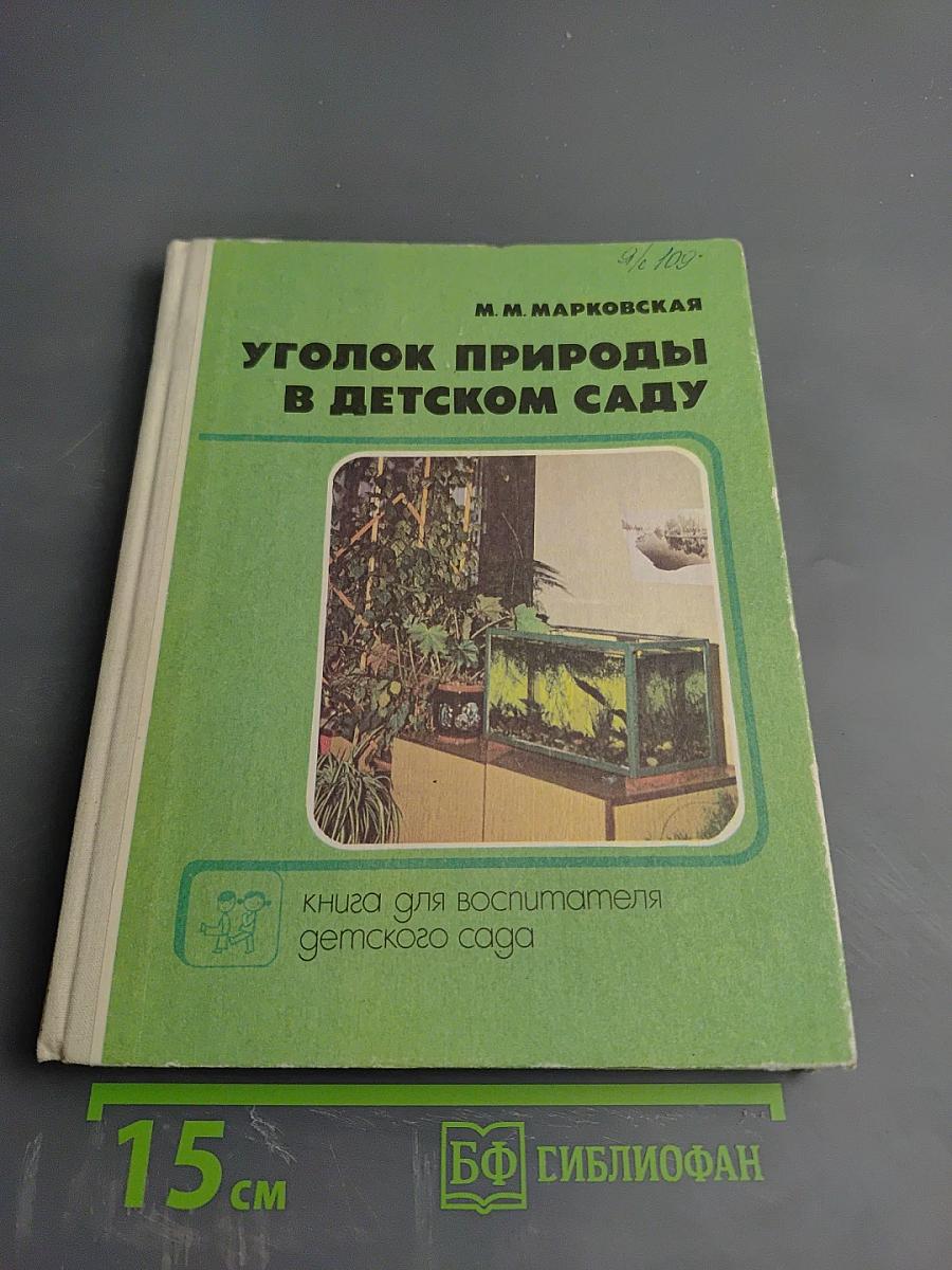 Уголок природы в детском саду