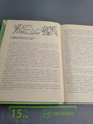Уголок природы в детском саду