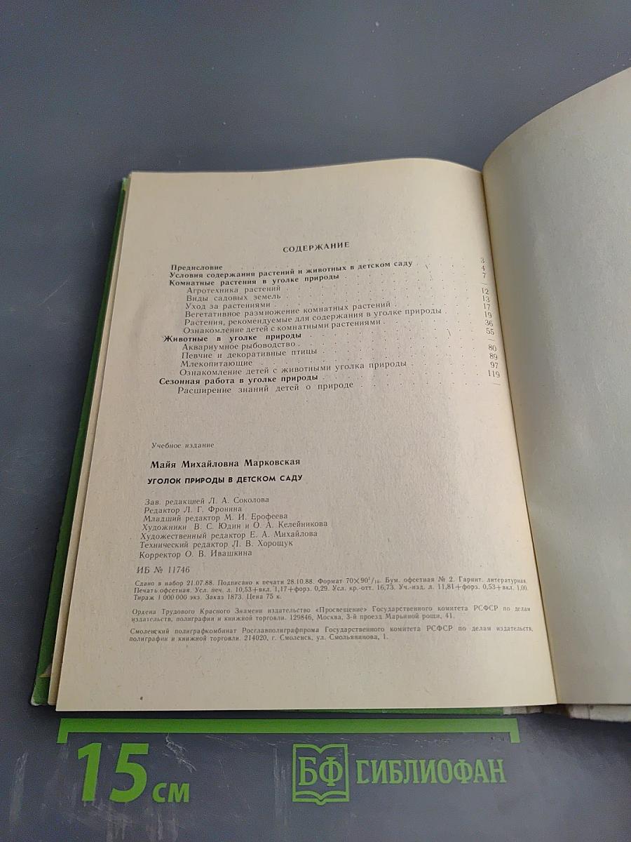 Уголок природы в детском саду