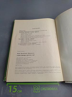 Уголок природы в детском саду