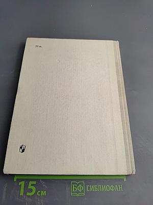 Уголок природы в детском саду