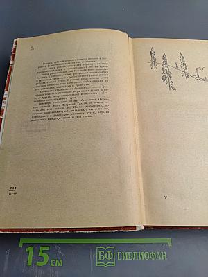 Горбатый медведь