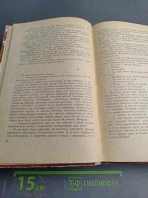 Горбатый медведь